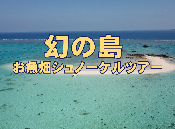 幻の島＆お魚畑シュノーケルツアー