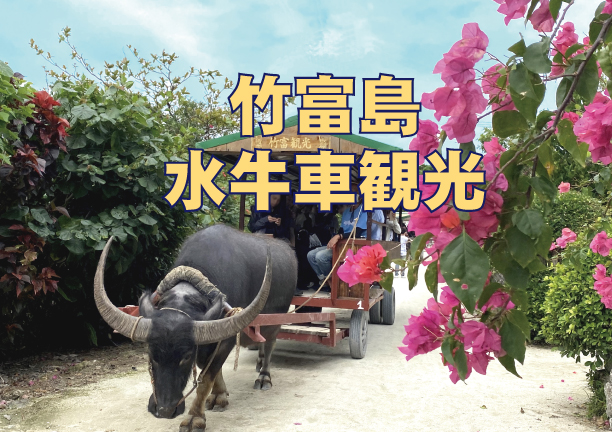 竹富島 水牛車観光モウモウコース
