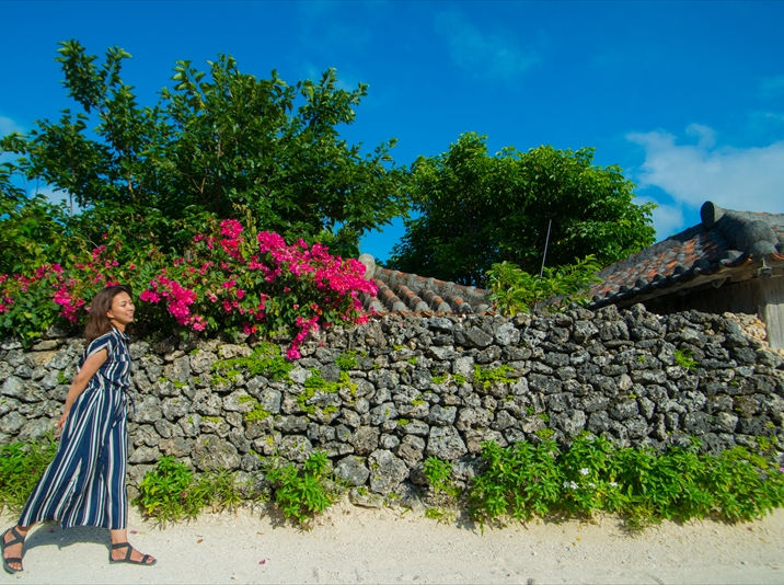 竹富島 フリープラン