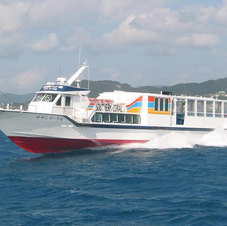 サザンコーラル